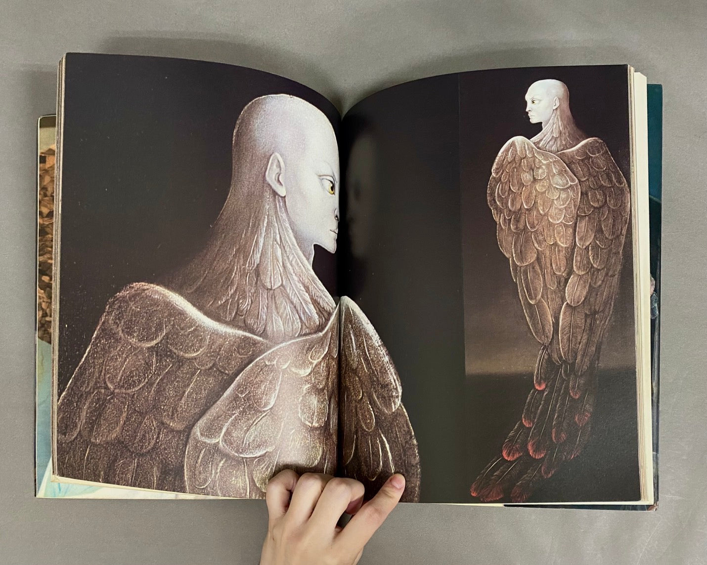 レオノール・フィニ 挿絵本 O嬢の物語 1968年出版 ～8000部 限定