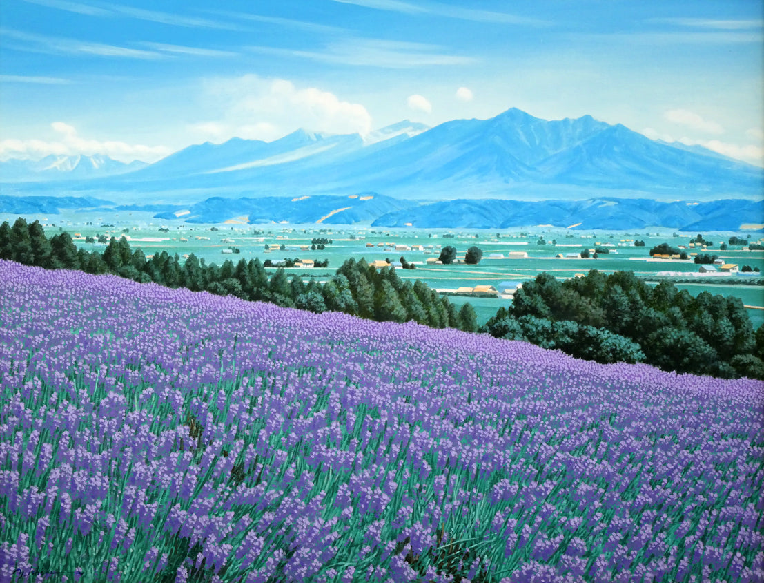 石川雄一「ラベンダーと十勝岳（富良野）」油絵・P15号 絵画買取・販売