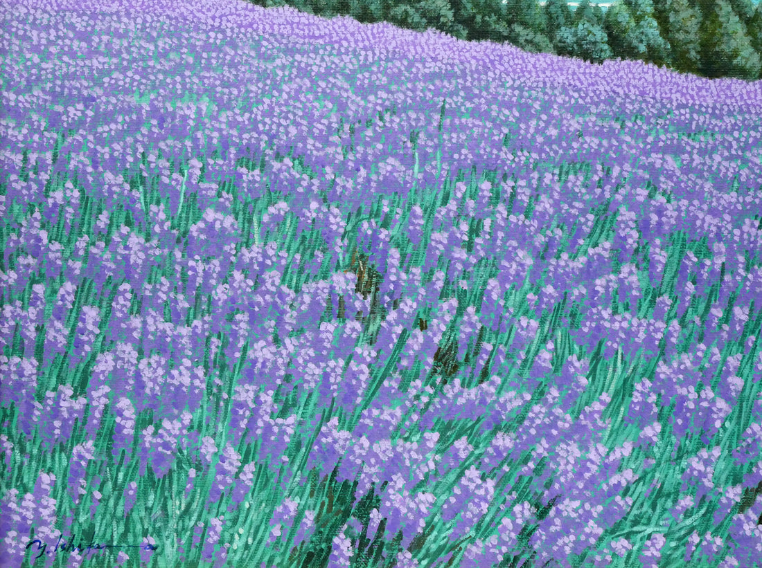 石川雄一「ラベンダーと十勝岳（富良野）」油絵・P15号 絵画買取・販売