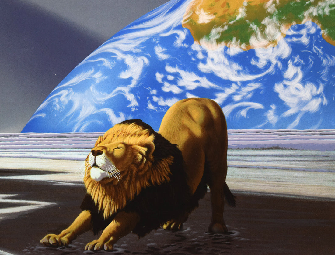 Yoshiさん専用】シムシメール『天空の砦』 シム シメール（Schim