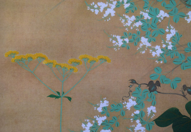 美品 掛け軸 酒井抱一筆 七草図 解説付き 酒井抱一「七草図」複製工芸