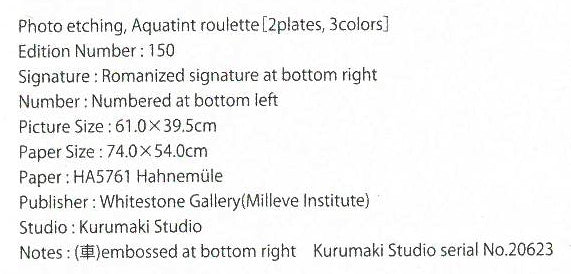 千住博「Waterfall＃20（ウォーターフォール）」フォトエッチング