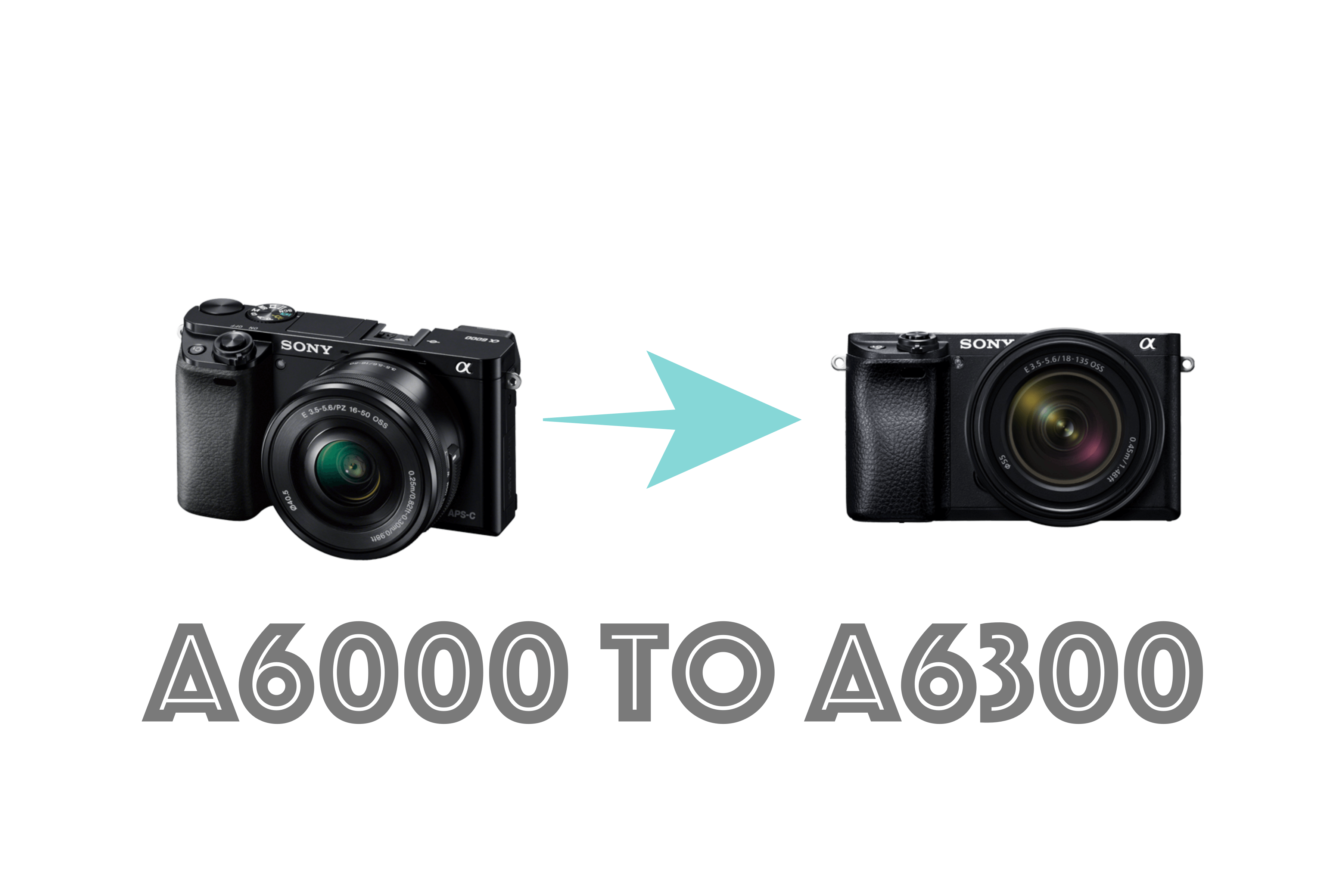 SONYのAPS-Cセンサーミラーレス 「α6000」「α6300」「α6500」を比較し