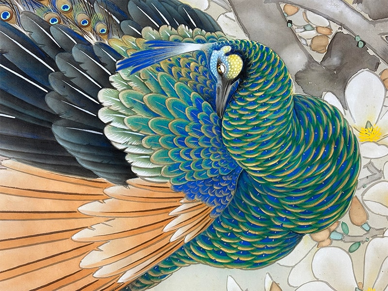 孔雀｜まくり・未表装・大幅｜新・古美術 高美堂（こうびどう）｜掛軸