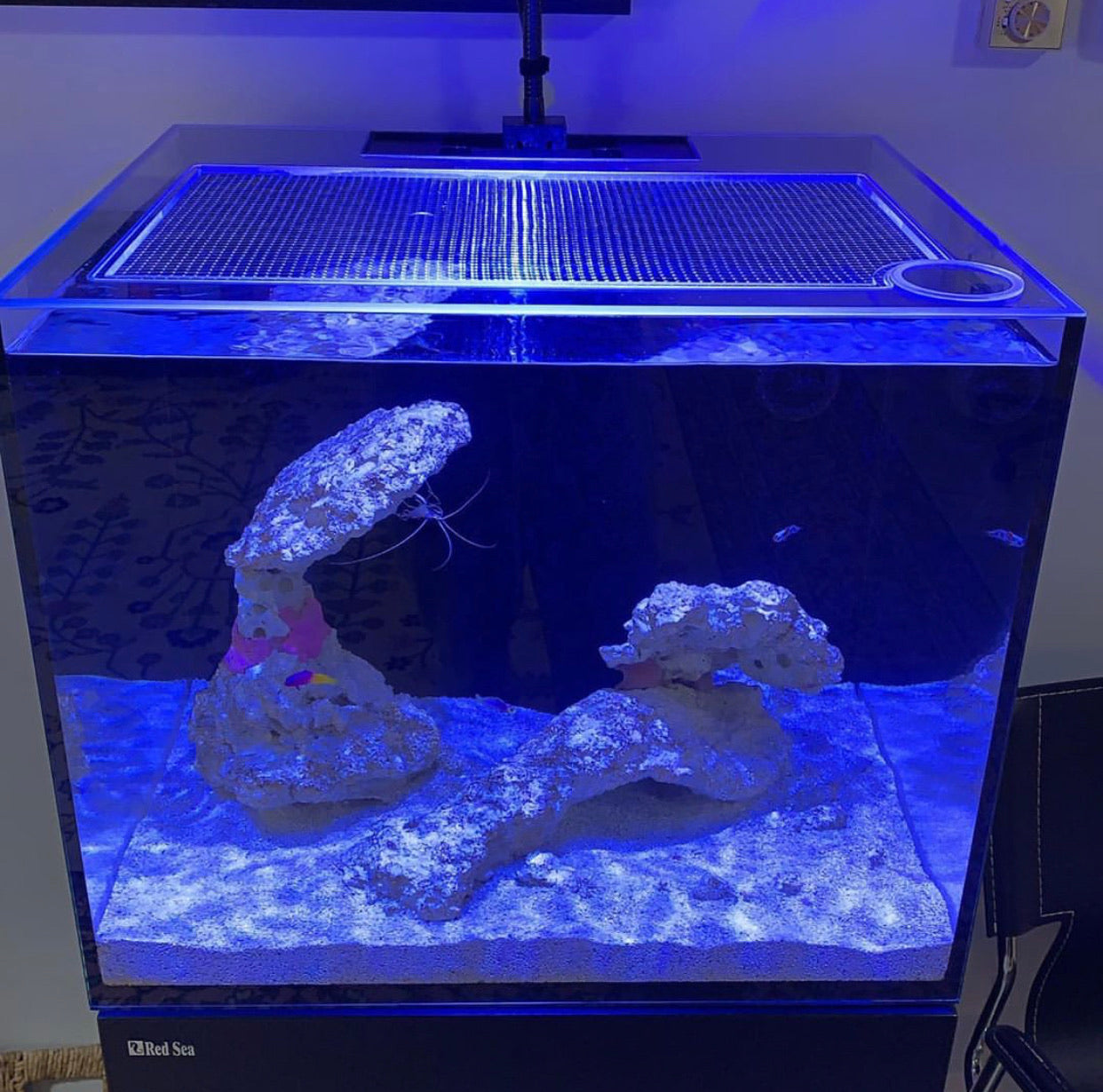 Red Sea REEFER / REEFER MAX 170 G2 / G2+ / G3 Lid