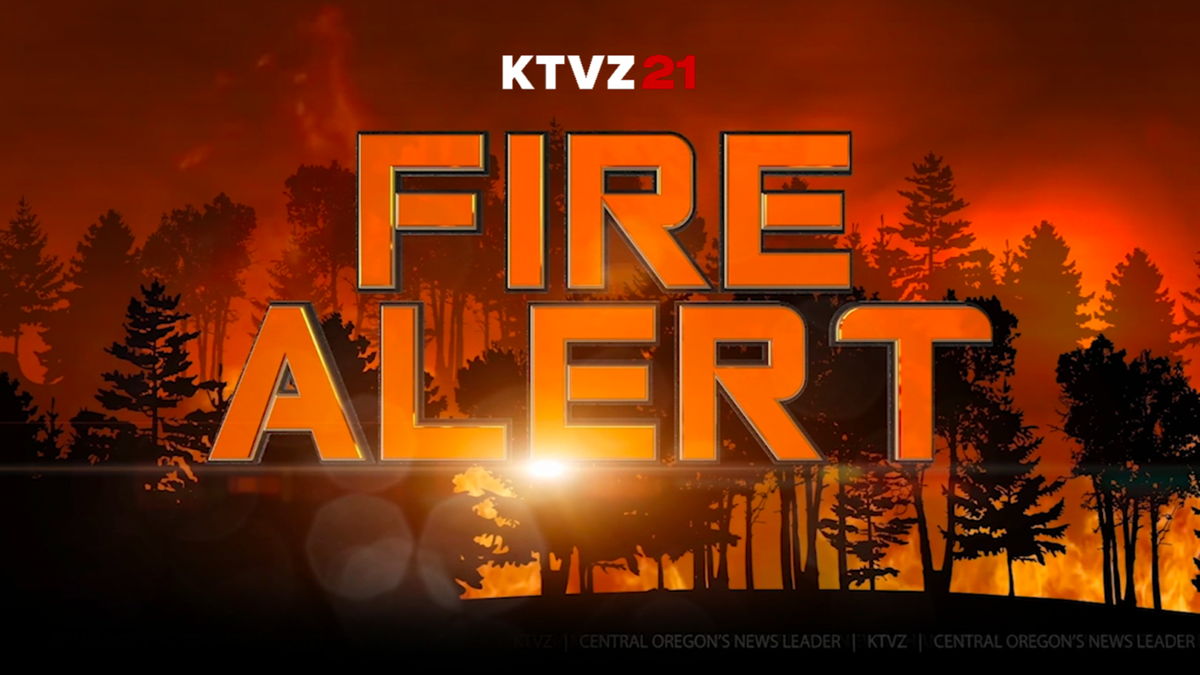 福山芳樹 FIRE BOMBER 2005 ELECTRIC FIRE 2007 福山芳樹 FIRE BOMBER