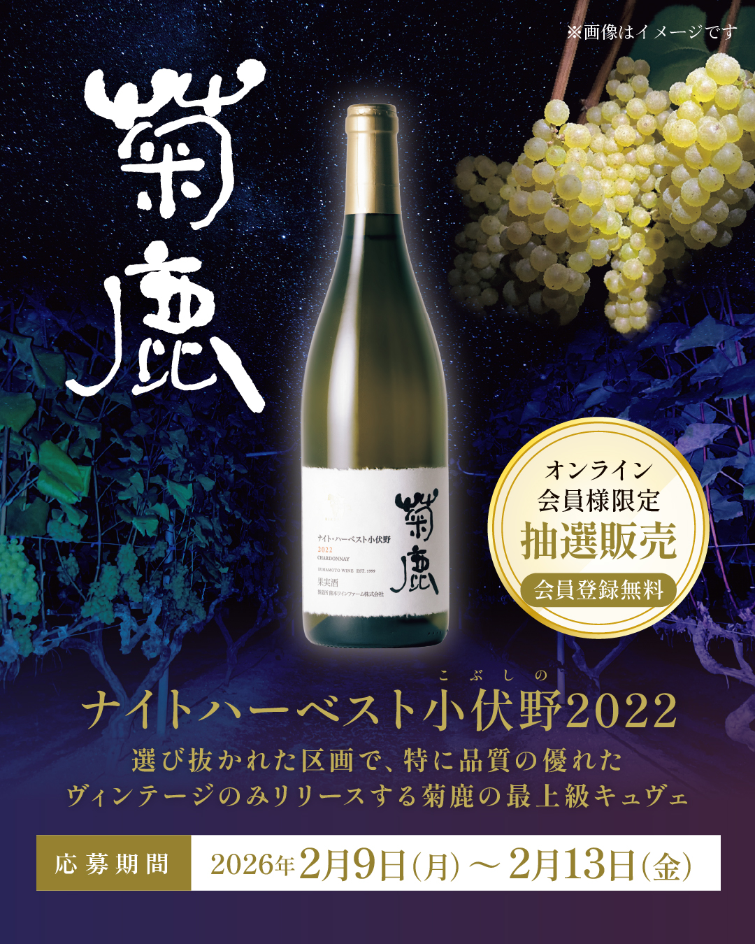 菊鹿ワイン ナイトハーベスト 五郎丸 2021 楽天市場】［2021］菊鹿