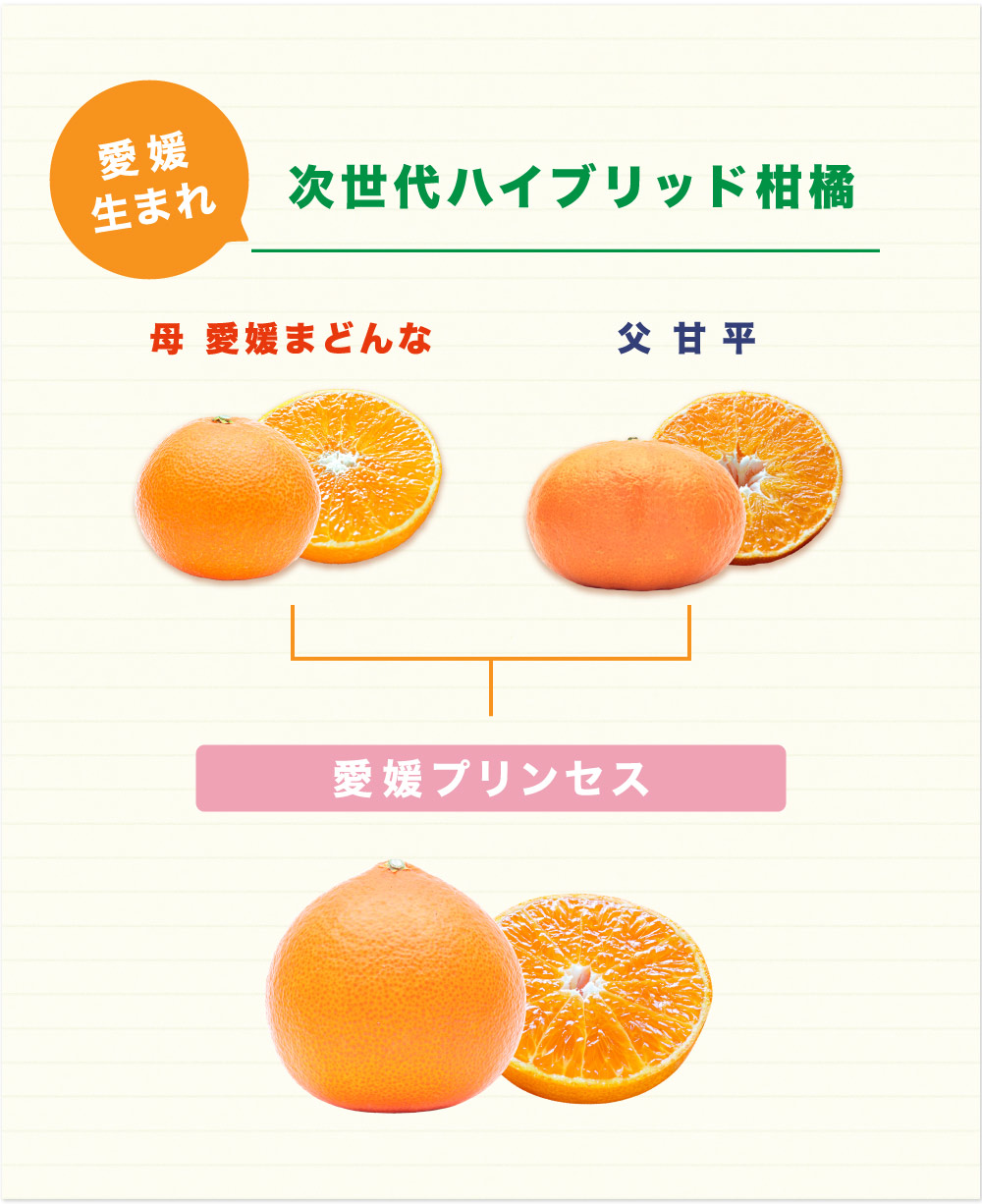 期待の新品種『愛媛プリンセス』を愛媛西宇和地方より産地直送