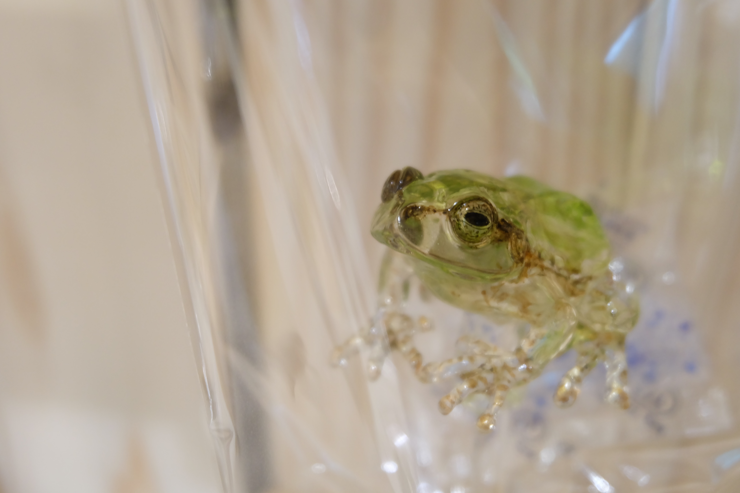 重厚☆飴細工のような花器 重厚☆飴細工のような花器 重厚☆飴細工の