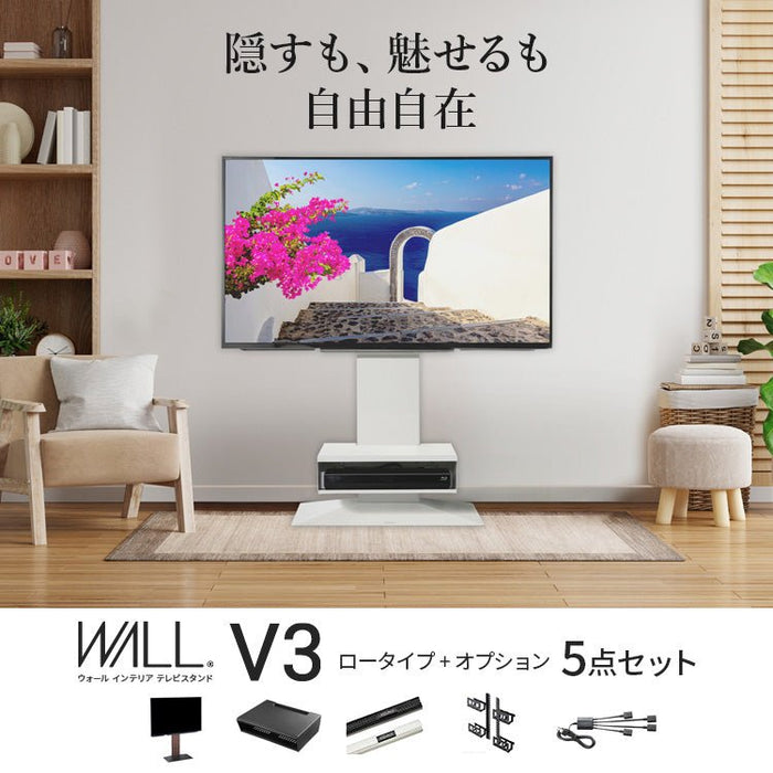 WALL TV STAND V3 LOW 売れ筋 TYPE EQUALS テレビスタンド テレビ