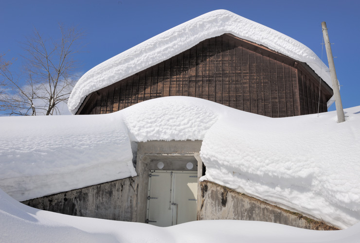 予約】雪室栗（500g）【1月中旬以降順次発送】 | 四万十ドラマ通販
