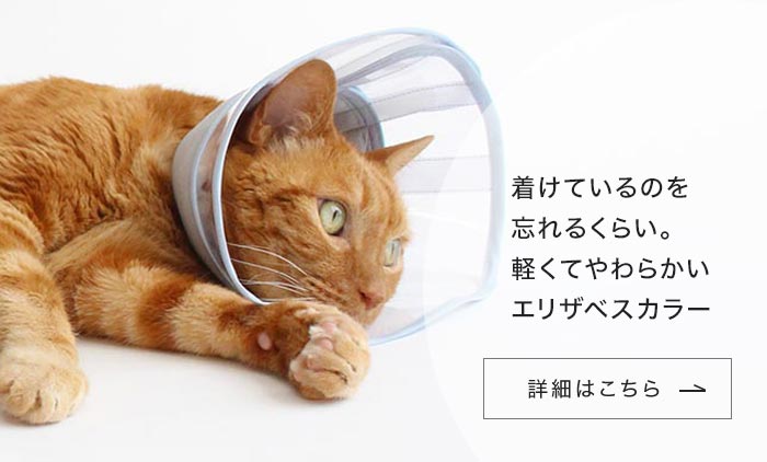 nekozuki（ねこずき）猫用品の販売
