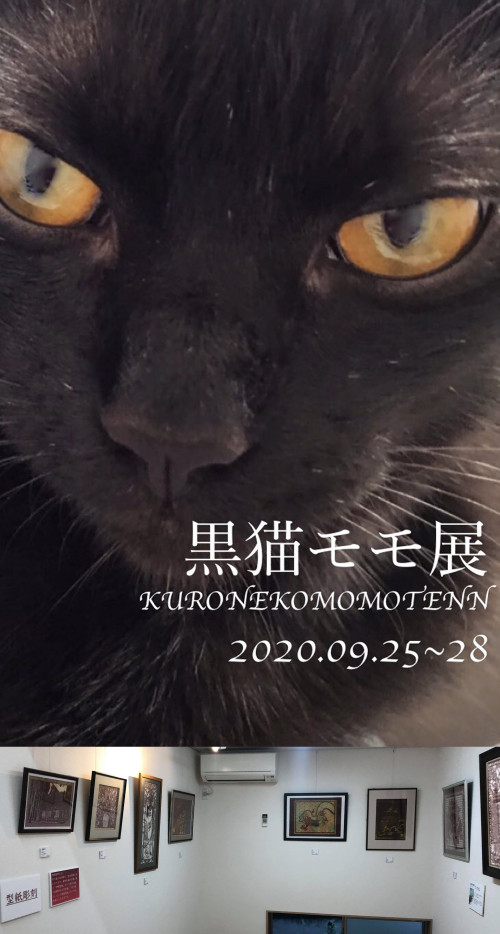 About Me | 黒猫モモ / KURONEKO MOMO