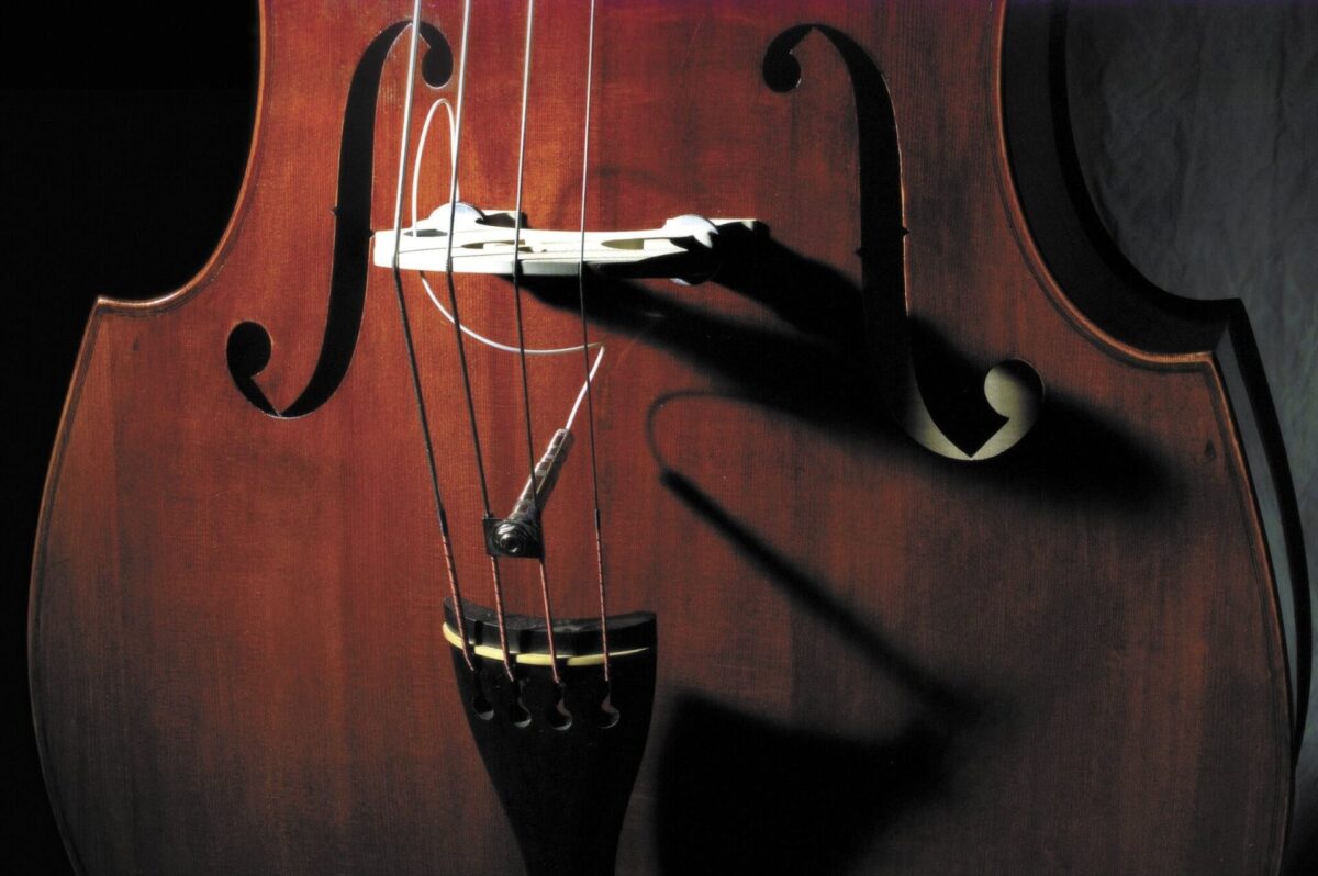 Full Circle Upright Bass Pickup - Fishman