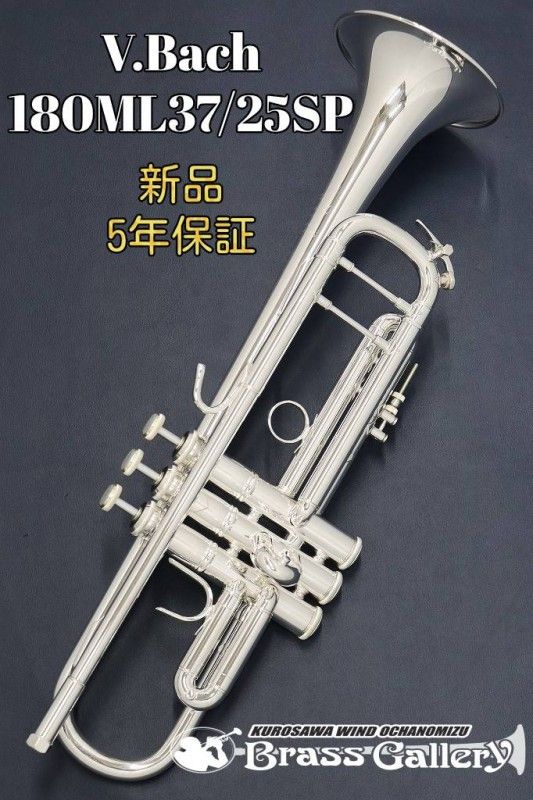 180ML37SP | 【クロサワ楽器店オンラインショップ】いい楽器とのいい