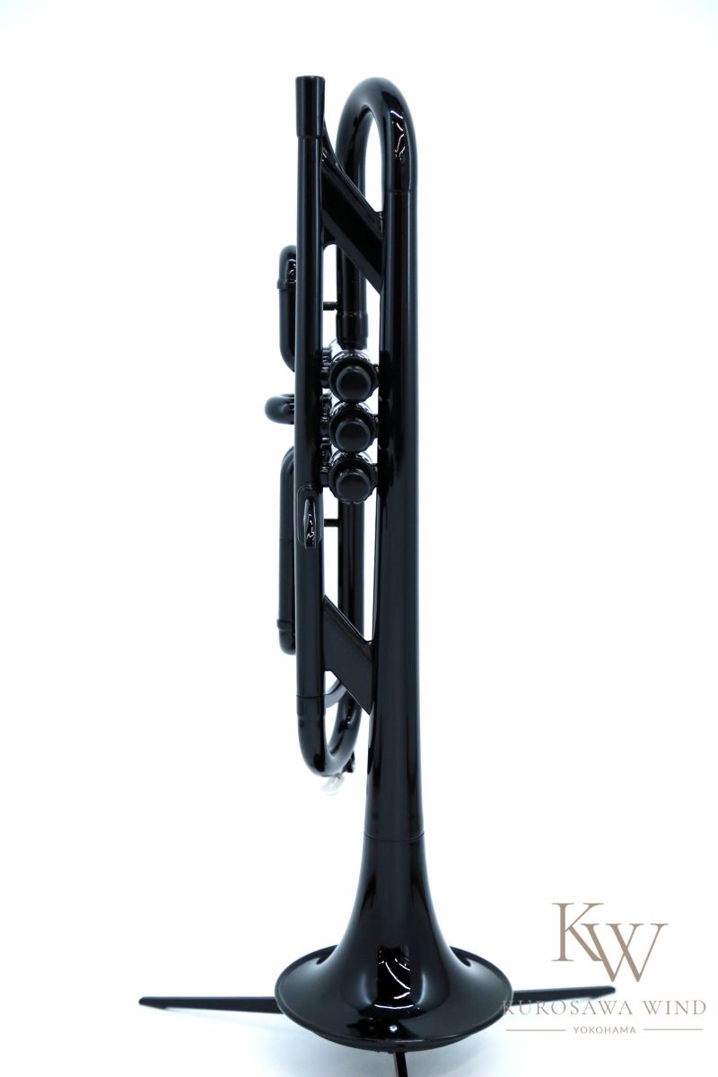 TR-200 Black【新品】 | 【クロサワ楽器店オンラインショップ】いい