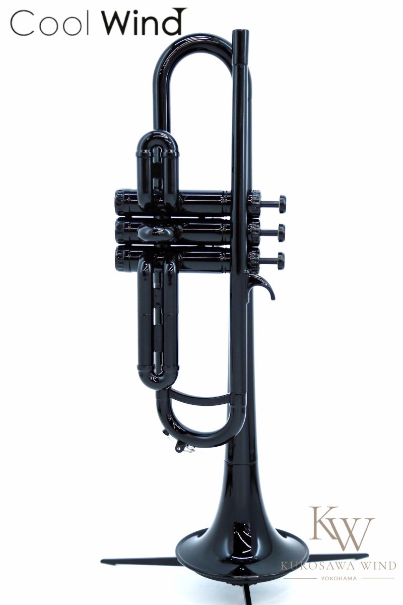 TR-200 Black【新品】 | 【クロサワ楽器店オンラインショップ】いい