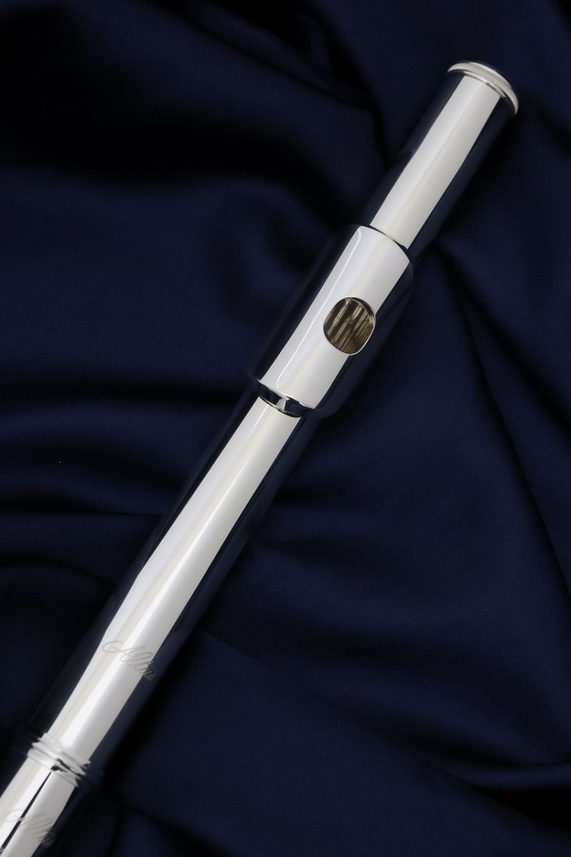 A10E | 【クロサワ楽器店オンラインショップ】いい楽器とのいい出会い