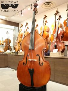 Gliga Gems II Gamba Shape/Flat Back | 【クロサワ楽器店オンライン