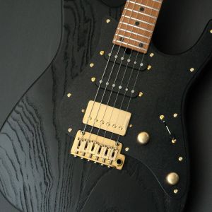 DIYストラトタイプギター24フレットSSHフロイドローズトレモロ