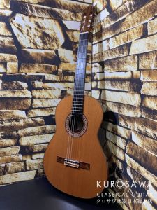 Antonio Sanchez、セミハードケースのクラシックギター検索結果一覧