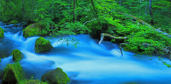 08d2f3d0590e4b58badb8ebda599cd