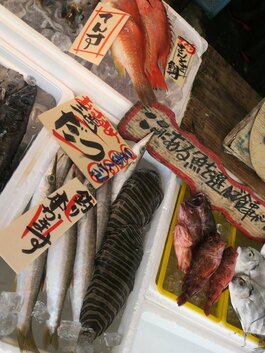 篆刻遊印「魚化龍」うおりゅうとかす。 篆刻遊印「魚化龍」うおりゅう