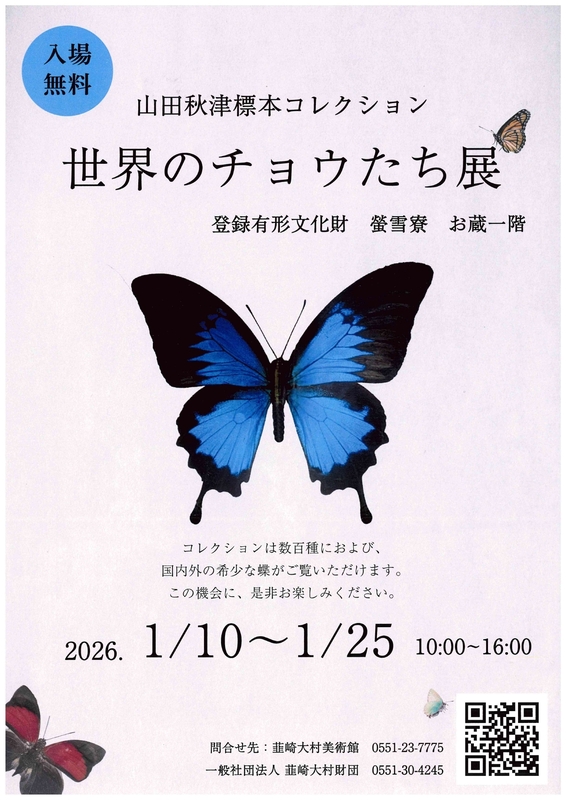 山田秋津標本コレクション「世界のチョウたち展」を開催 | 山梨県韮崎