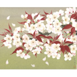 森田りえ子 「山桜」リトグラフ 直筆サイン・落款・エディション・作品