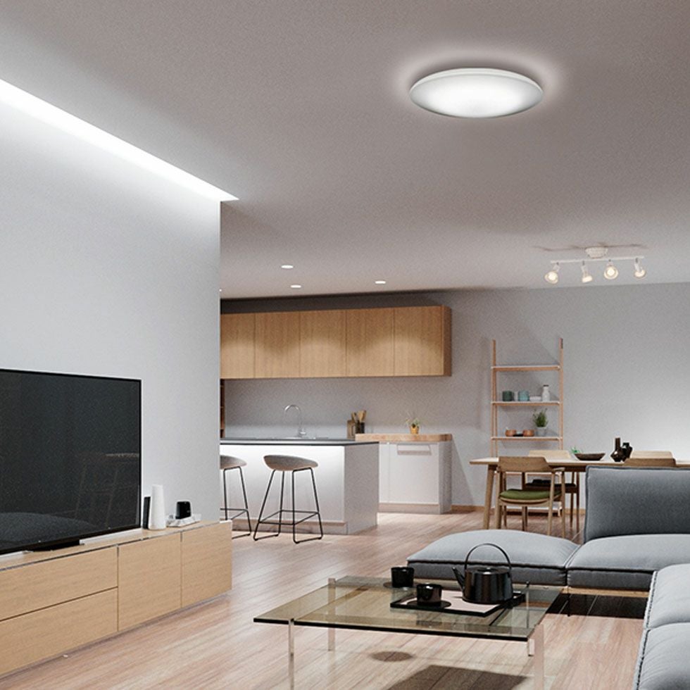 000000000663-02.jpg?size=l&w=