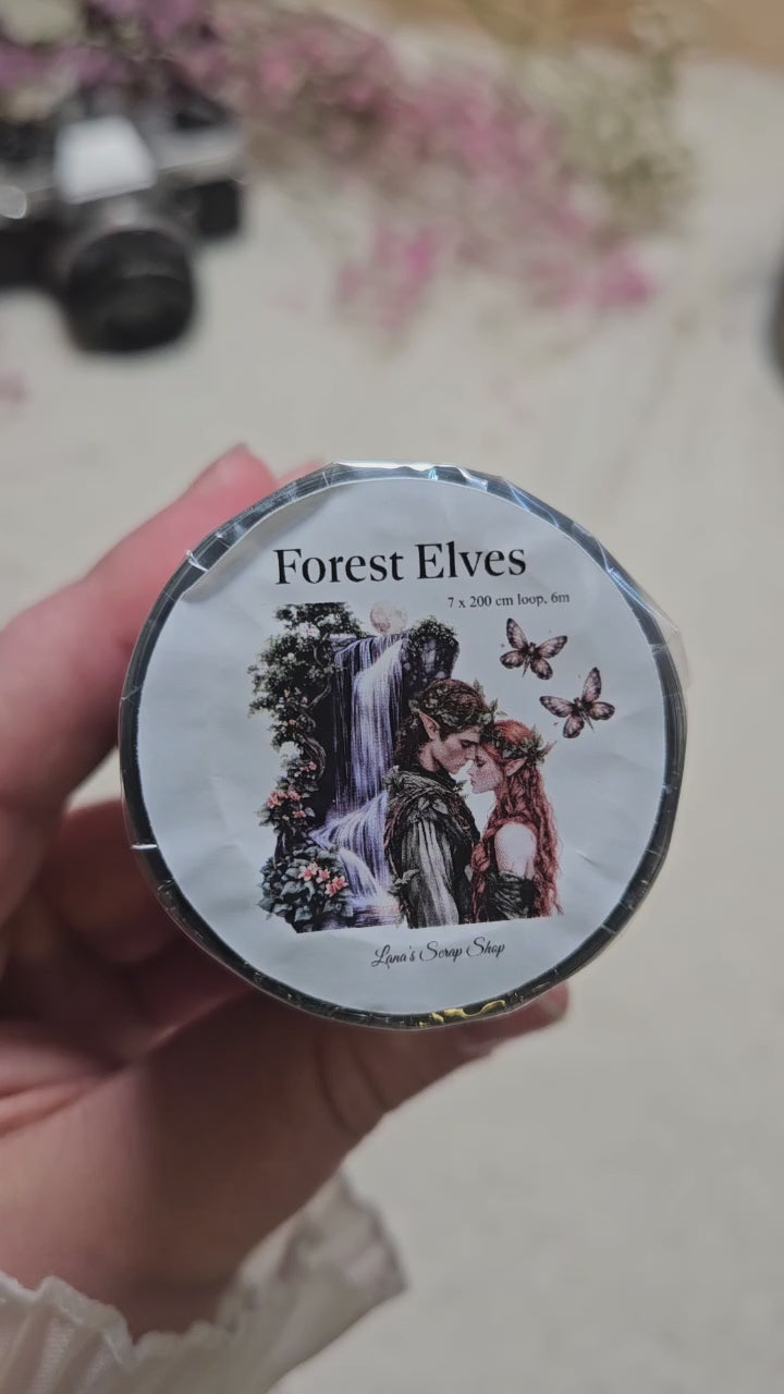 Lana's Scrap Shop 海外マスキングテープ マステ 【2396】 Lana's