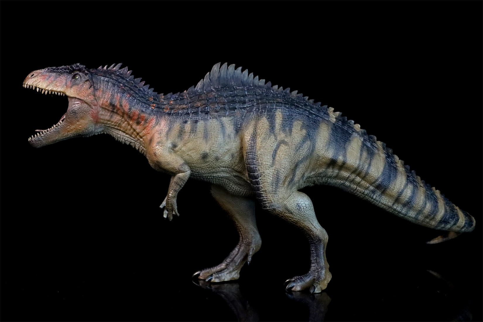 Nanmu 本心楠改 The King of the Border Giganotosaurus2.0 フィギュア