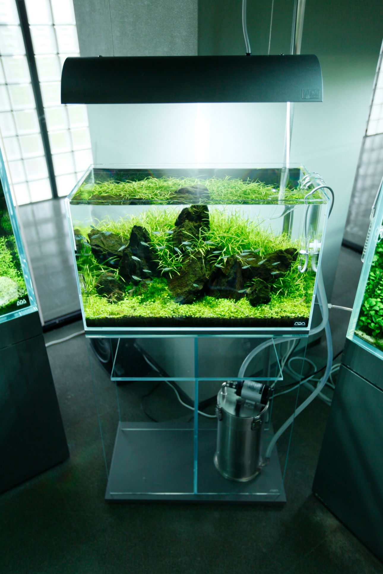 アクアリウム ADA水槽セット&水槽台