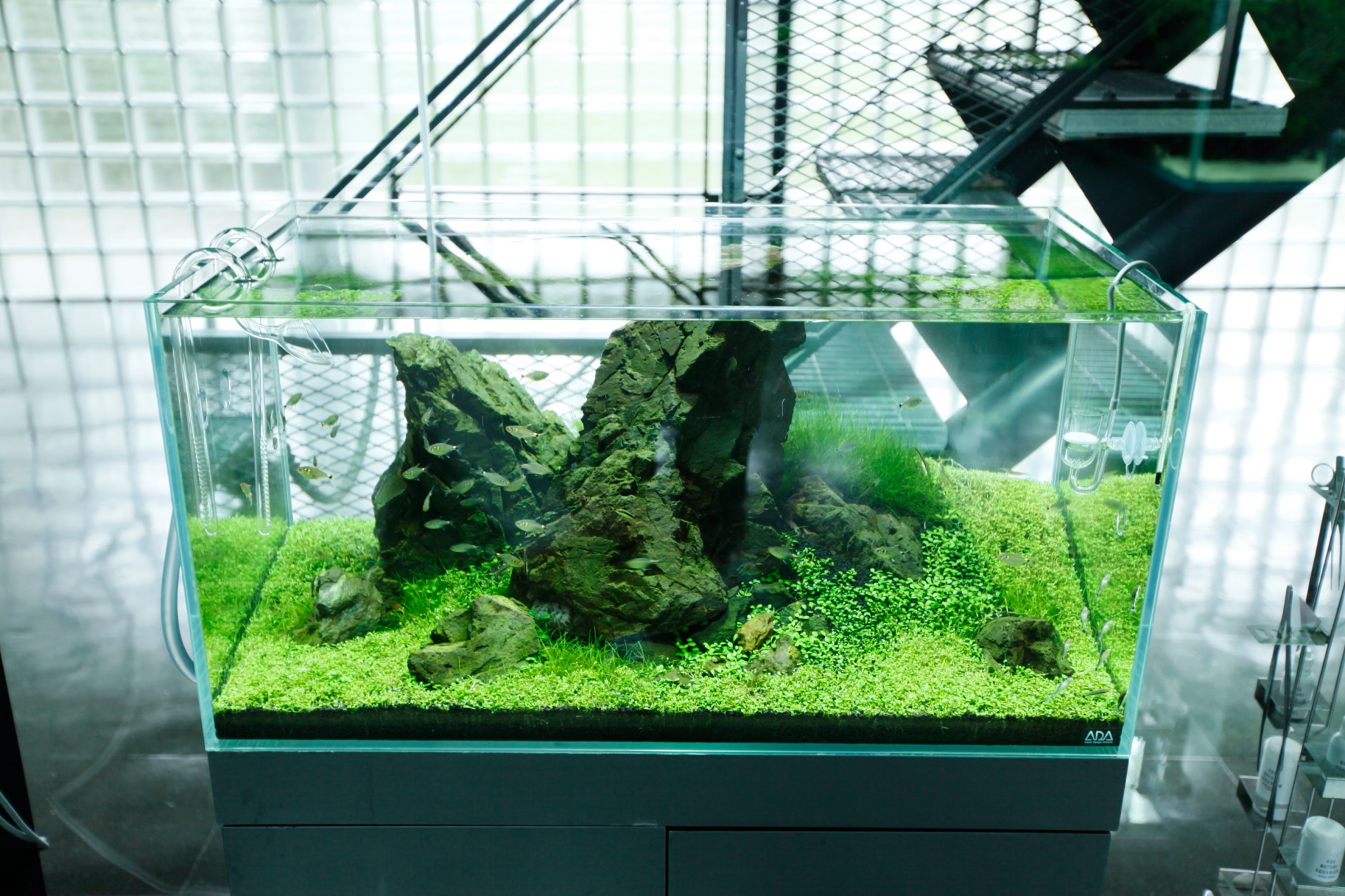 ADA 90cm水槽 ADA キューブガーデン ada キューブガーデン 90 水槽