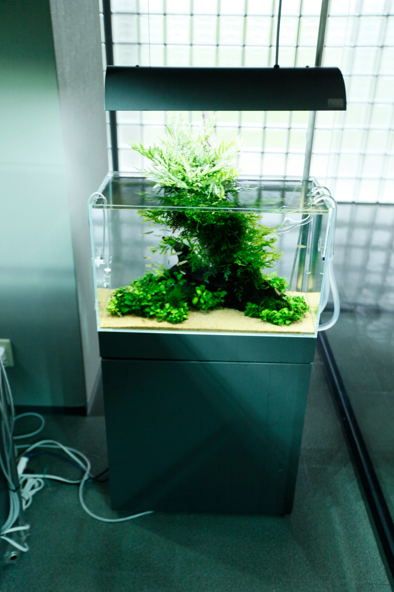 ADA 60*45*45ワイド水槽