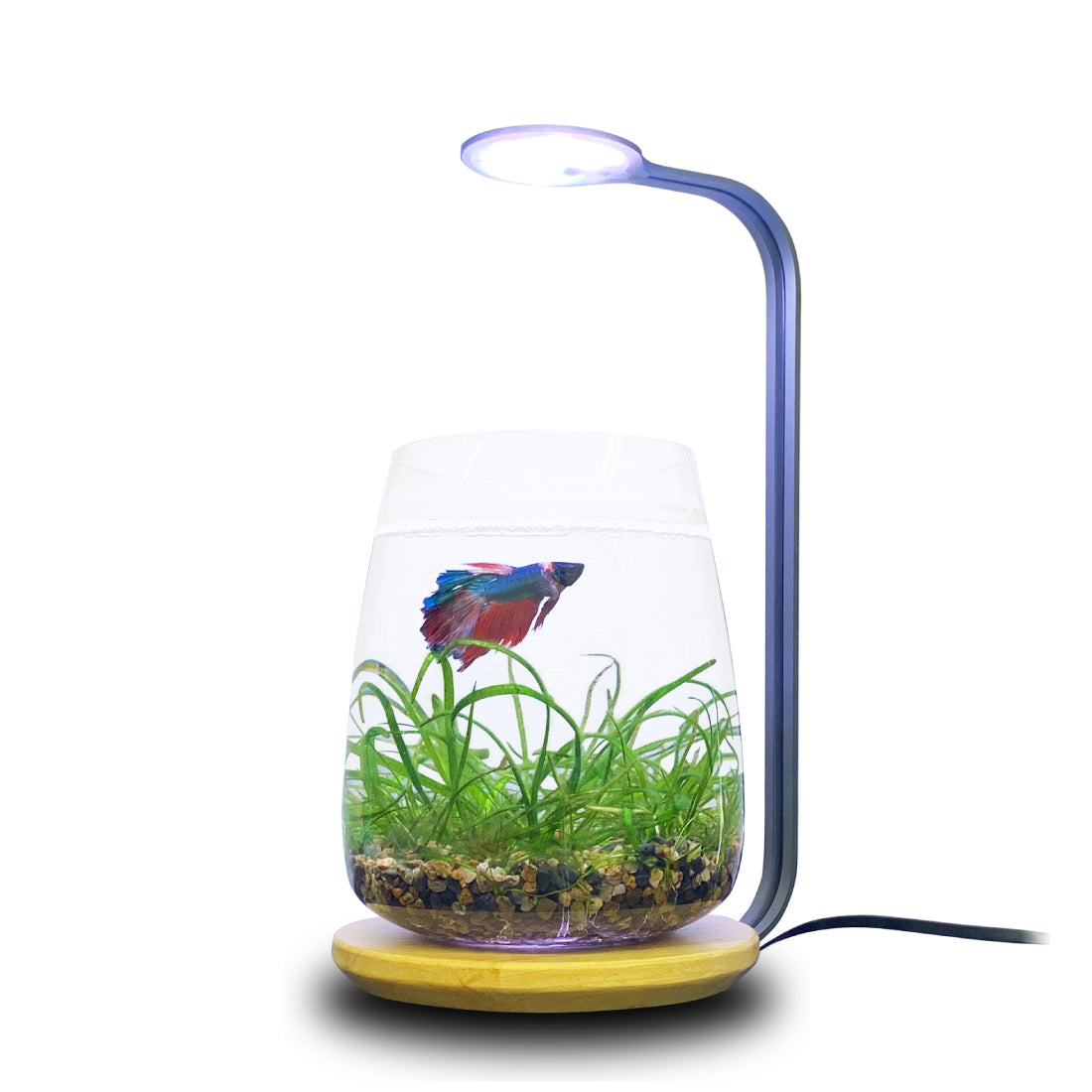 うんちゃん様］LED STAR AQ-Slim Pro 30 水槽ライ LEDSTAR NANO