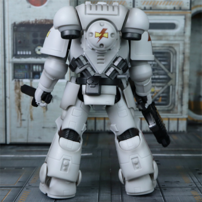 WARHAMMER 40,000 インペリアルフィスト・インターセッサー