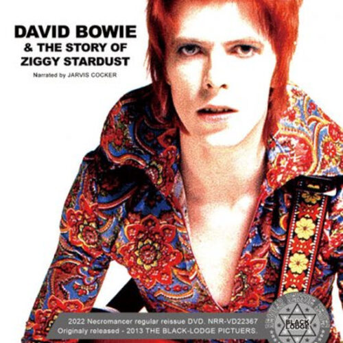 激レア 1986年製 David Bowie デビッドボウイ ヴィンテージ 激レア