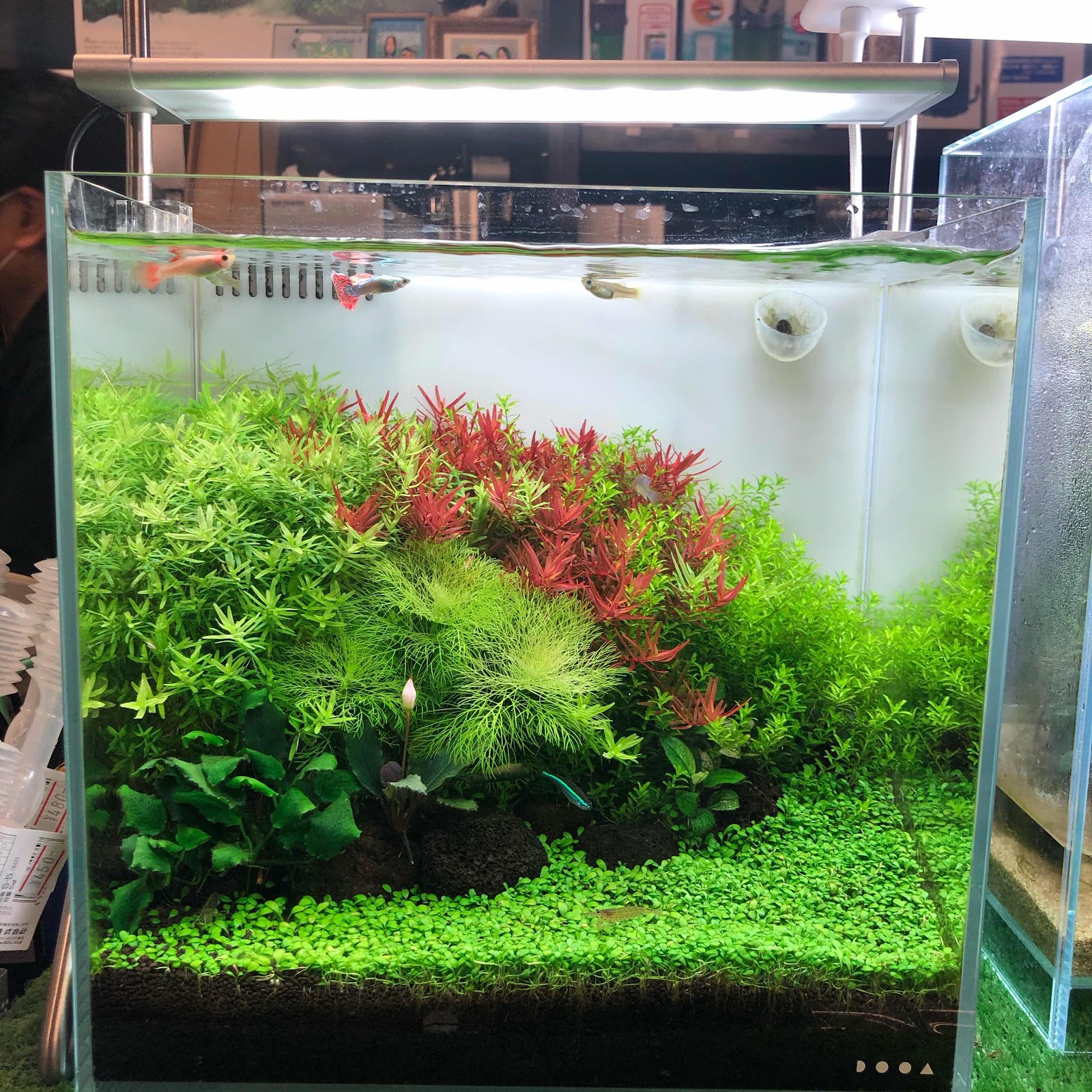 DOOA SOL STAND RGB ソルスタンドRGB 廃盤品 SOL STAND RGB | PRODUCTS