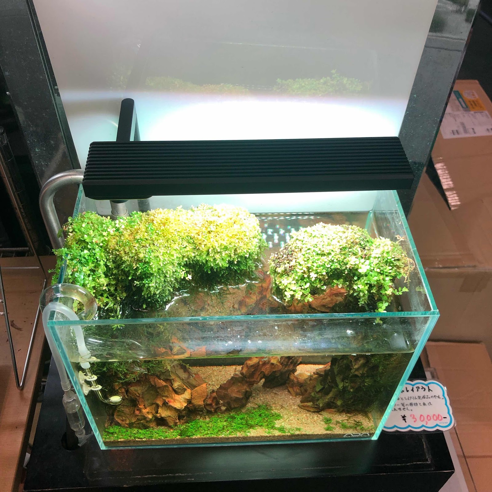 激レア未使用 ADA アクアスカイ301 未開封 初期のアクアスカイです ADA