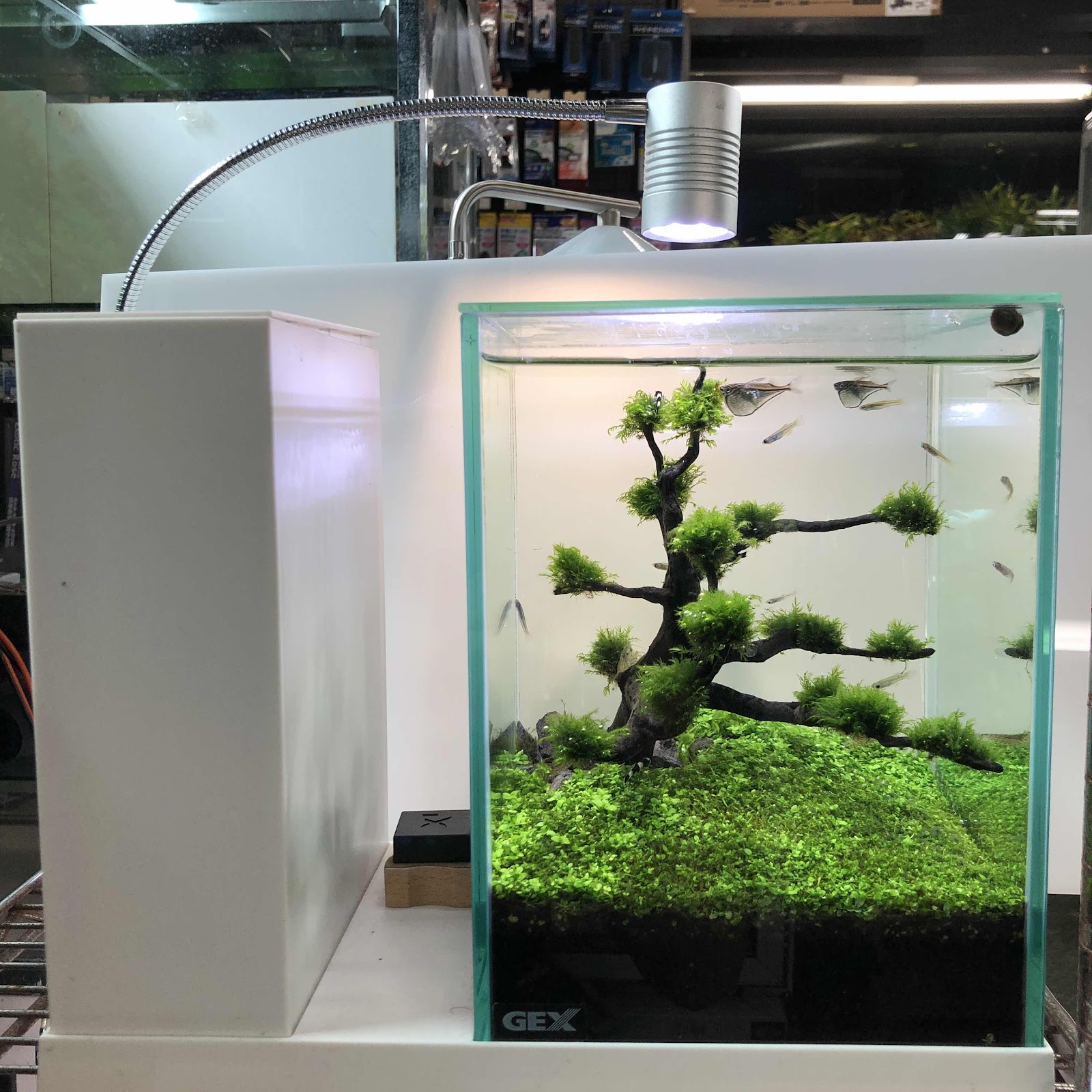 GEX アクアリスタAQUA U アクアユー