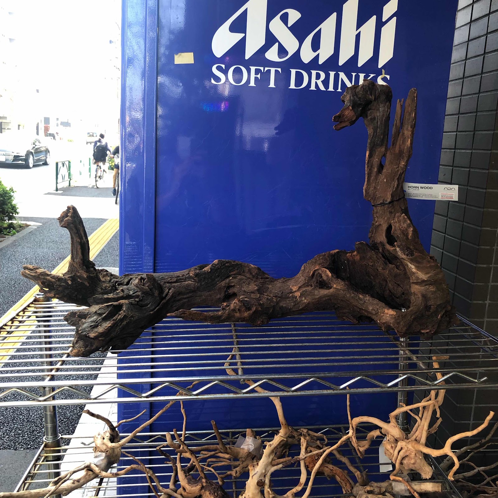 アクアテイク‐E ブログ: ADAホーンウッドXLサイズ等、流木各種入荷情報