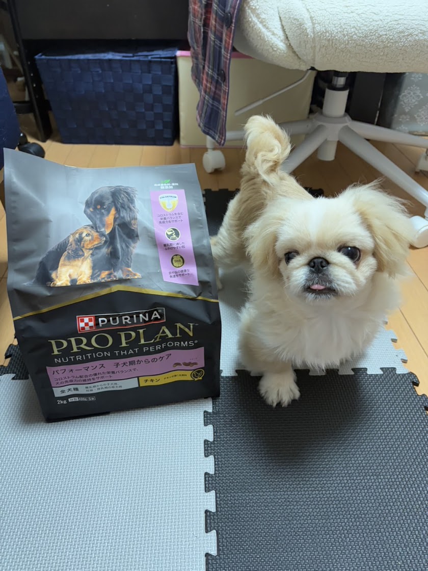 犬 定期コース】ピュリナプロプラン パフォーマンス子犬期からのケア