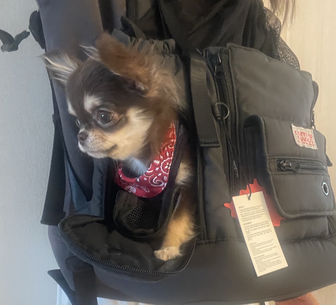 COMFY RAVIOLI】テンマイルバッグ（フロントバッグ） Pets-first