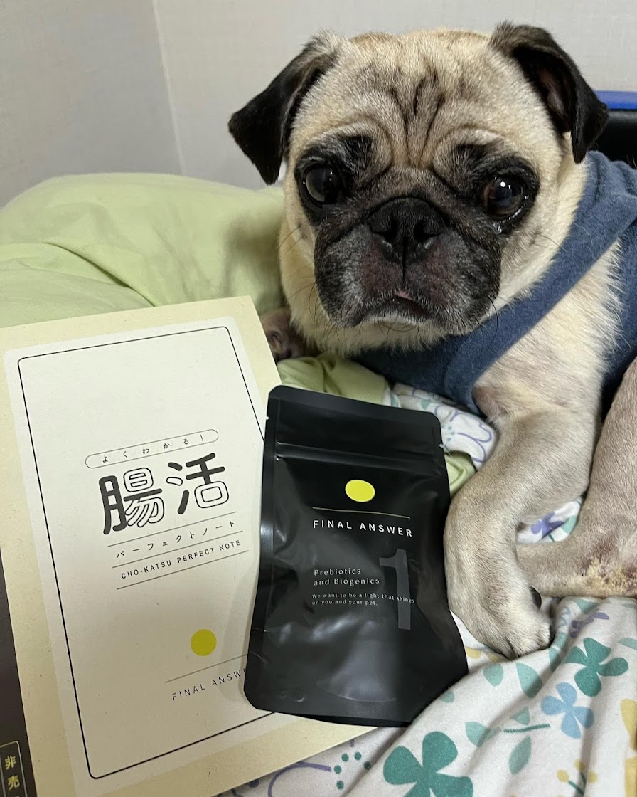 hbniVAhCO4bLB3PDj7Ko5JFpWzQ85C