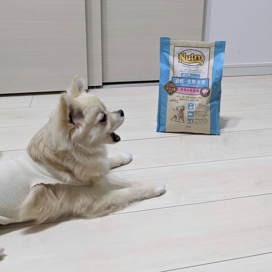 3kg】ニュートロ ナチュラルチョイス 去勢避妊用犬用 チキン&玄米