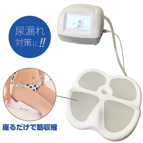 骨盤底筋トレーニング電磁パルス 骨盤底筋トレーニング 電磁パルス