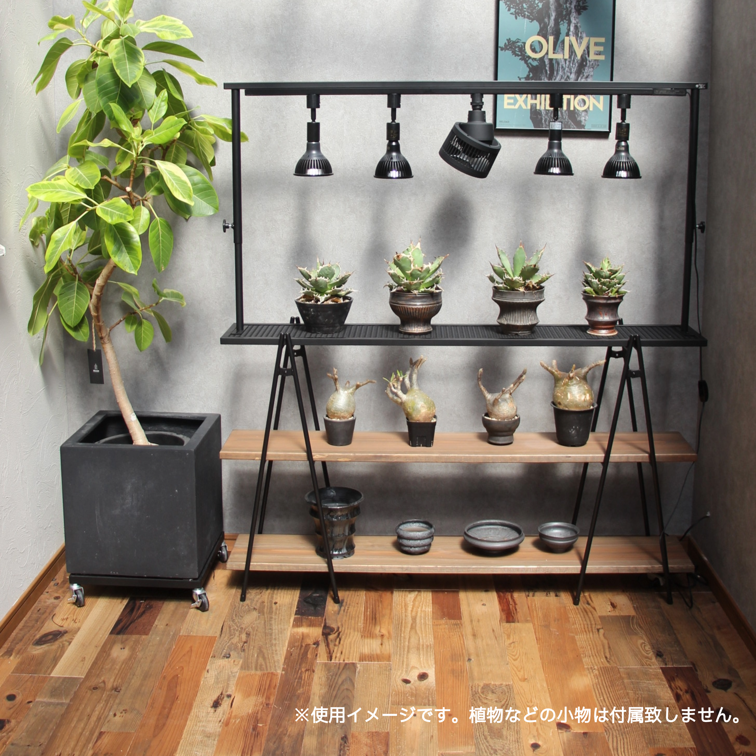 アイアンシェルフ