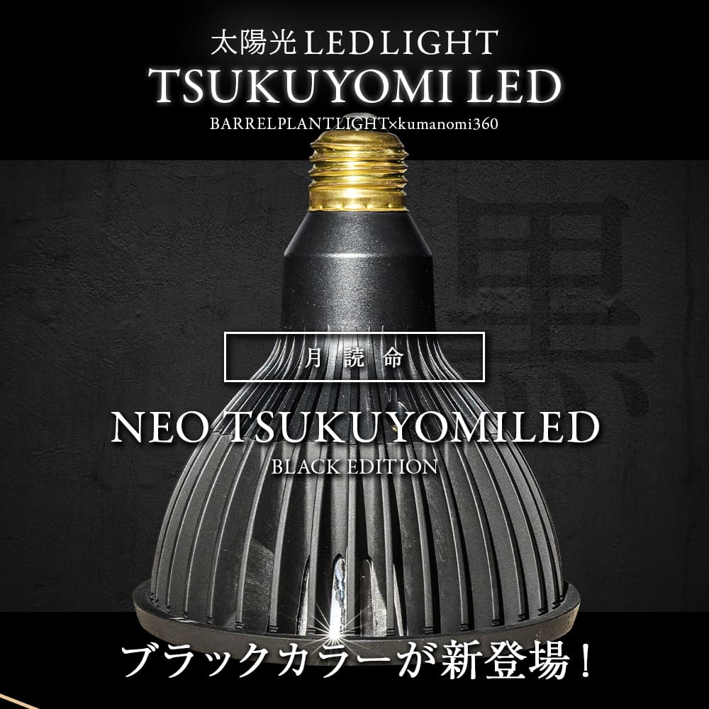 TSUKUYOMI LED 20W BLACK EDITION（ツクヨミLED ブラックエディション