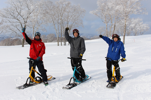スノースクート│北海道冬のアクティビティ・観光旅行 リンクス